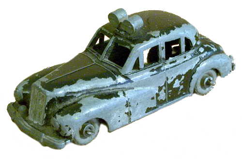 Budgie 5
