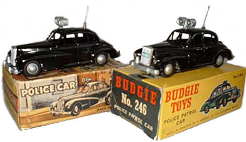 Budgie 246
