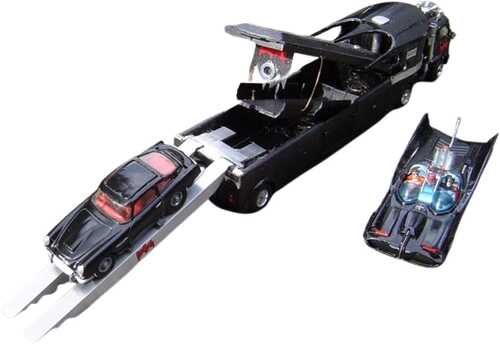  The BAM Transporter 