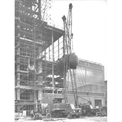 The real Crane